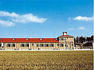 03.jpg